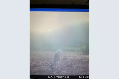 Tbd County Road 1165, Brashear, TX 75420 - Photo 37