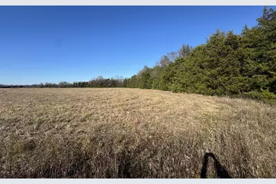 Tbd Tract 12 Fm 2675, Roxton, TX 75477 - Photo 7