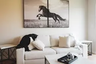 513 Galt, Stephenville, TX 76401 - Photo 11