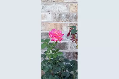 4316 Leona Road, Bowie, TX 76230 - Photo 37