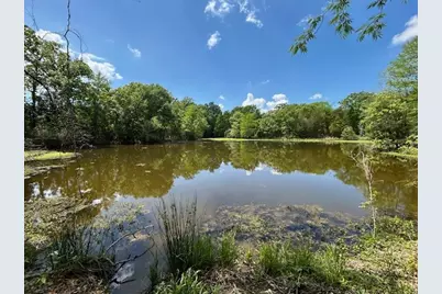 6431 Payne Springs Place, Mabank, TX 75156 - Photo 5