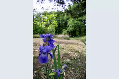 Tbd County Rd 663, Farmersville, TX 75442 - Photo 25