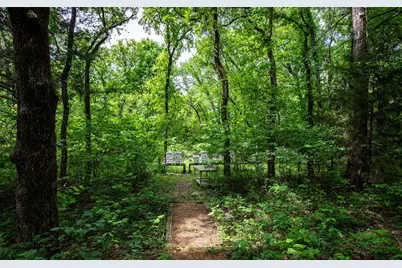 Tbd County Rd 663, Farmersville, TX 75442 - Photo 27