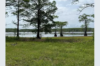 11756 Catfish Road, Vivian, LA 71082 - Photo 1
