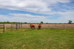 5520 Big Valley Cir, Lipan, TX 76462 - Photo 35