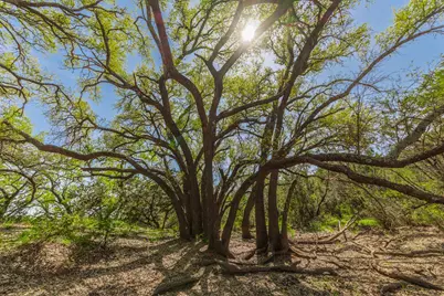 Tbd C.R. 120, Coleman, TX 76834 - Photo 21