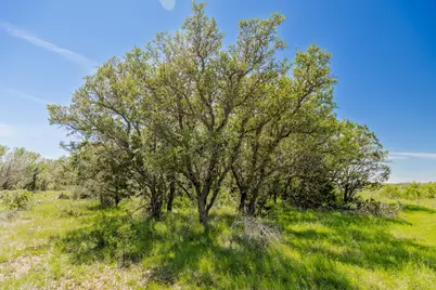 Tbd C.R. 120, Coleman, TX 76834 - Photo 25