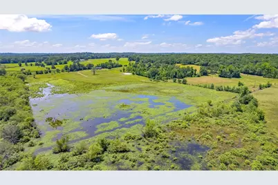 12250 County Road 3513, Brownsboro, TX 75756 - Photo 7