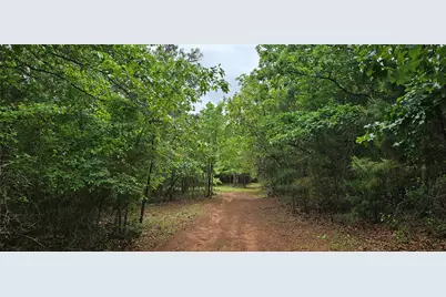 Tbd Vz County Road 4814, Ben Wheeler, TX 75754 - Photo 3