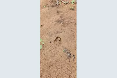 Tbd Vz County Road 4814, Ben Wheeler, TX 75754 - Photo 7