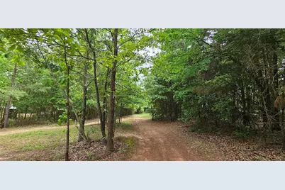Tbd Vz County Road 4814, Ben Wheeler, TX 75754 - Photo 9