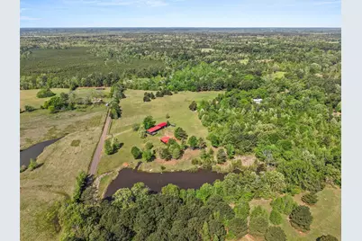 1333 Lupine Road, Gilmer, TX 75644 - Photo 9