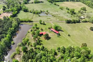 1333 Lupine Rd, Gilmer, TX 75644 - Photo 11