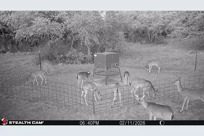 2387 County Road 321, Gorman, TX 76454 - Photo 33