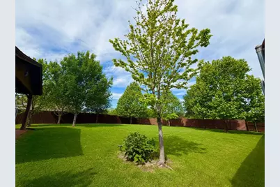 1000 Chapala Court, Prosper, TX 75078 - Photo 3