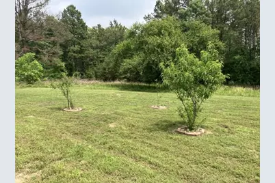 3000 County Road 1708, Jacksonville, TX 75766 - Photo 23