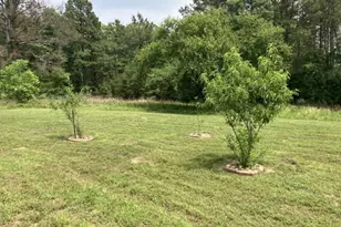 3000 Co Rd 1708, Jacksonville, TX 75766 - Photo 23
