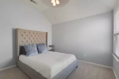 1729 Shoebill Drive, Little Elm, TX 75068 - Photo 27