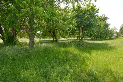 Tbd Contrary Creek Road, Granbury, TX 76048 - Photo 5