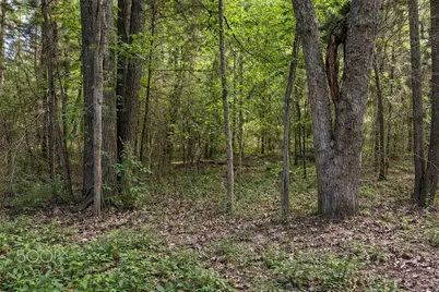 Tbd Fm 2966, Quitman, TX 75783 - Photo 7