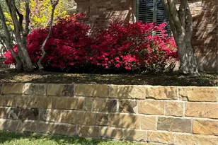 907 Loch Lomond Dr, Arlington, TX 76012 - Photo 3
