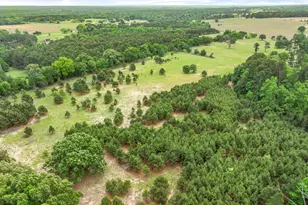 13608 N Sh-110, Tyler, TX 75704 - Photo 13