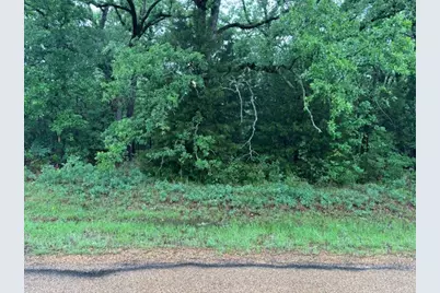 111 Double Bridge Road, Mabank, TX 75156 - Photo 1