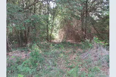 00 Cr 106, Marlin, TX 76661 - Photo 5