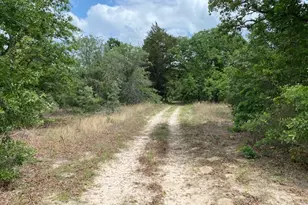 7601 Co Rd 3700, Murchison, TX 75778 - Photo 33