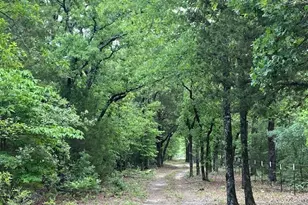 7601 Co Rd 3700, Murchison, TX 75778 - Photo 31