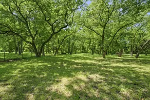 1499 Harrell Rd, Howe, TX 75459 - Photo 5