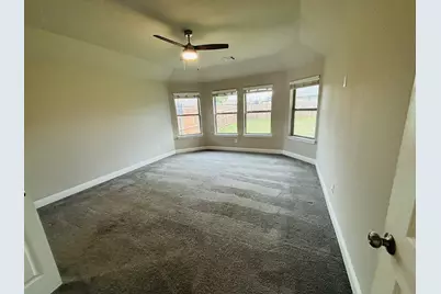 116 Aucuba Lane, Waxahachie, TX 75165 - Photo 19