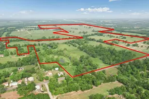 Tbd N Fm 100, Honey Grove, TX 75446 - Photo 1