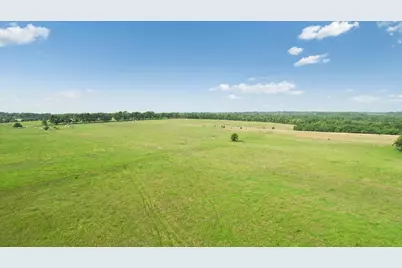 Tbd N Fm 100, Honey Grove, TX 75446 - Photo 11