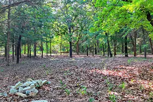 735 Sleepy Hollow Ln, Valley View, TX 76272 - Photo 31
