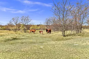 14771 Shearer Rd, Pilot Point, TX 76258 - Photo 33