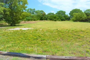 1301 Bernard St, Denton, TX 76201 - Photo 13