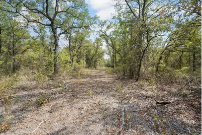 Lot 13 Double B Ranch Road S, Perrin, TX 76486 - Photo 7