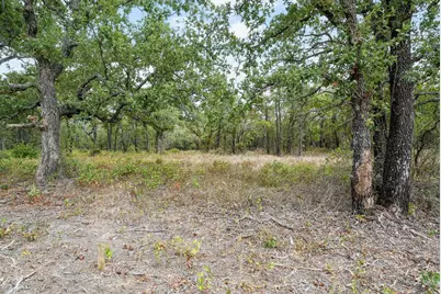 Lot 15 Double B Ranch Road S, Perrin, TX 76486 - Photo 7