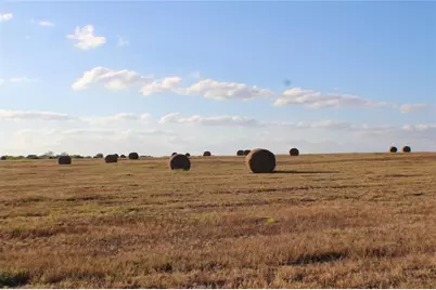Tbd Co Rd 4518, Wolfe City, TX 75496 - Photo 17