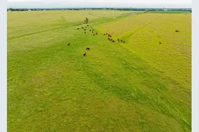 1010 County Road 382, Era, TX 76238 - Photo 25