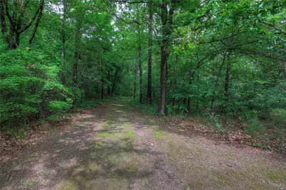 1774 County Road 3562, Dike, TX 75437 - Photo 33