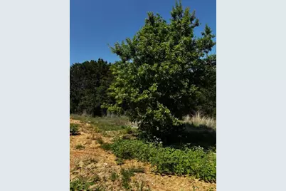 1255 Eagles Bluff Drive, Weatherford, TX 76087 - Photo 5