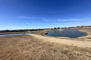 5919 Sahara Dr, Forney, TX 75126 - Photo 25