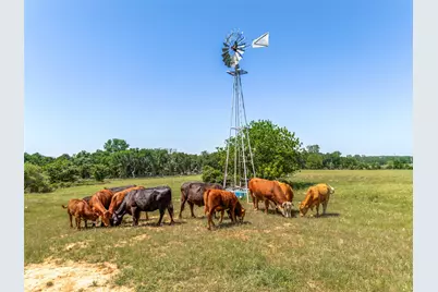 599 Lone Star, Poolville, TX 76487 - Photo 29