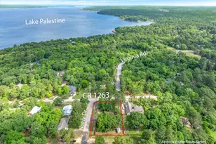 17195 County Rd 1263, Flint, TX 75762 - Photo 3