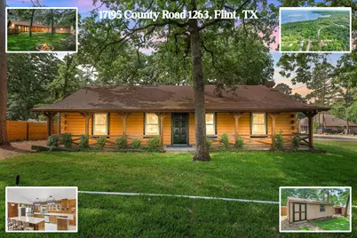 17195 County Road 1263, Flint, TX 75762 - Photo 1