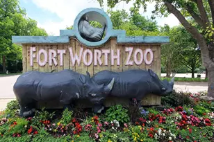 2013 Huntington Ln, Fort Worth, TX 76110 - Photo 39