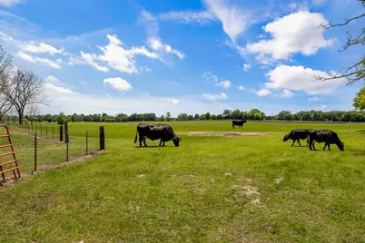 00 Vz County Road 3208, Wills Point, TX 75169 - Photo 3