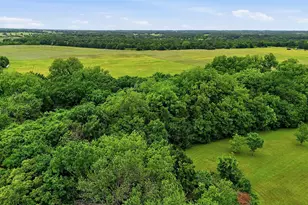 3517 Sandusky Rd, Whitesboro, TX 76273 - Photo 37